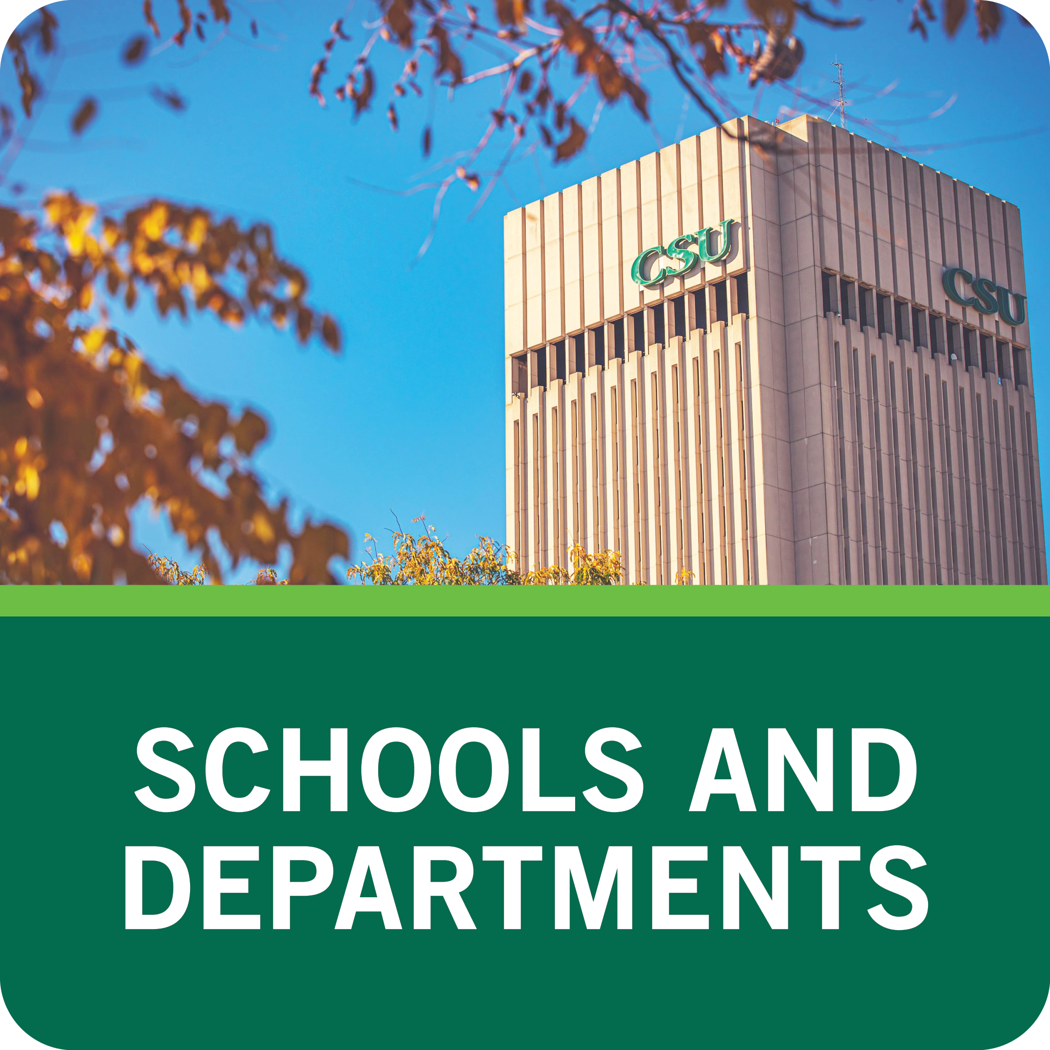 Schools and Departments