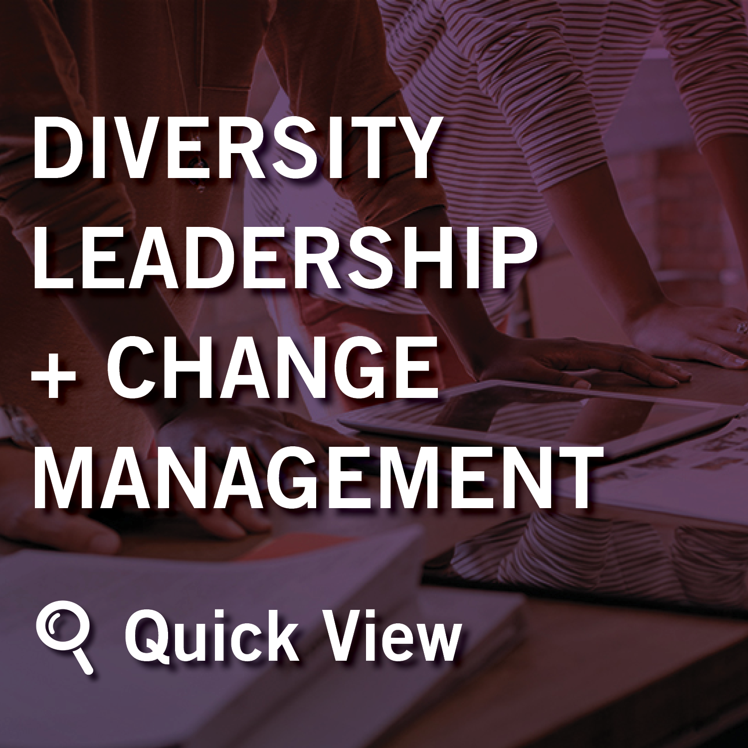 Diversity Leadership and Change Management (DLCM) track